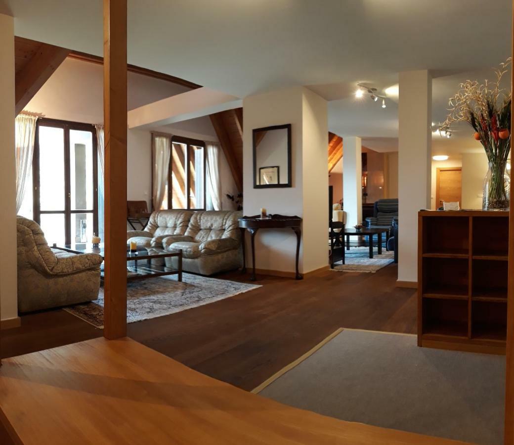 Excelsior. Espectacular Y Exclusivo Apartamento En Sallent De Gallego. Kültér fotó